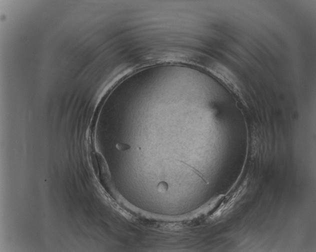 X0000066940798200603311416