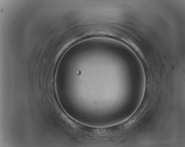 X0000066940799200603311416