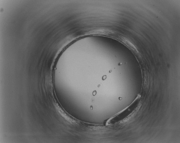 X0000066940800200603311416