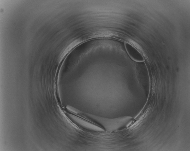 X0000066940802200603311416