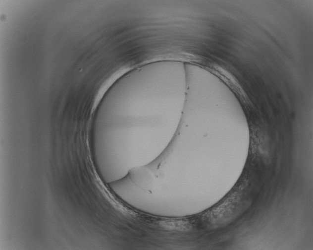 X0000066940804200603311416