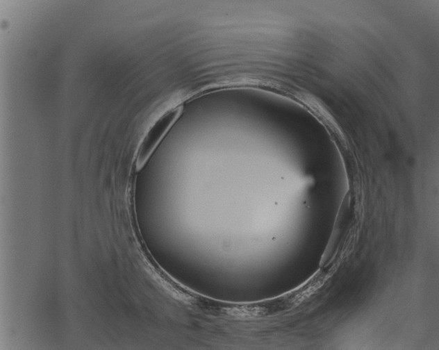 X0000066940805200603311416