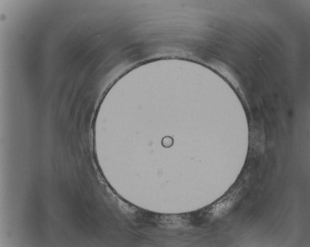 X0000066940807200603311415