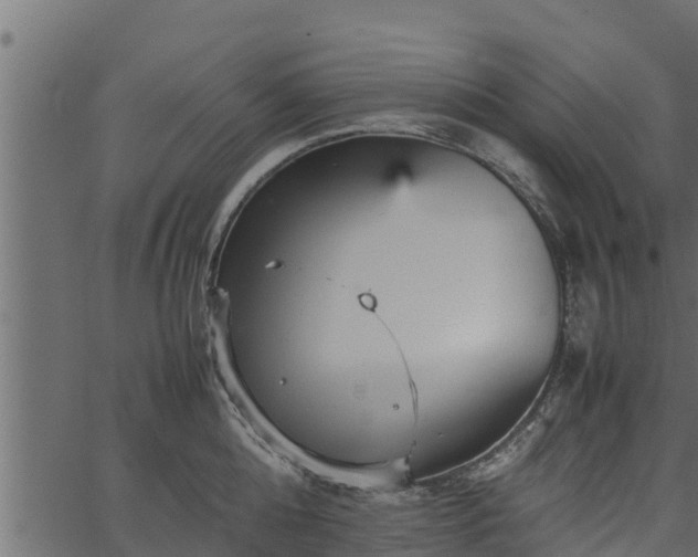 X0000066940808200603311415