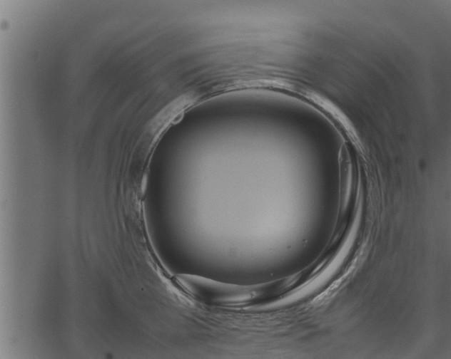 X0000066940809200603311415