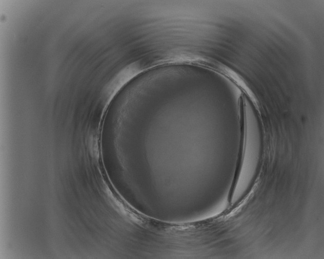 X0000066940810200603311415