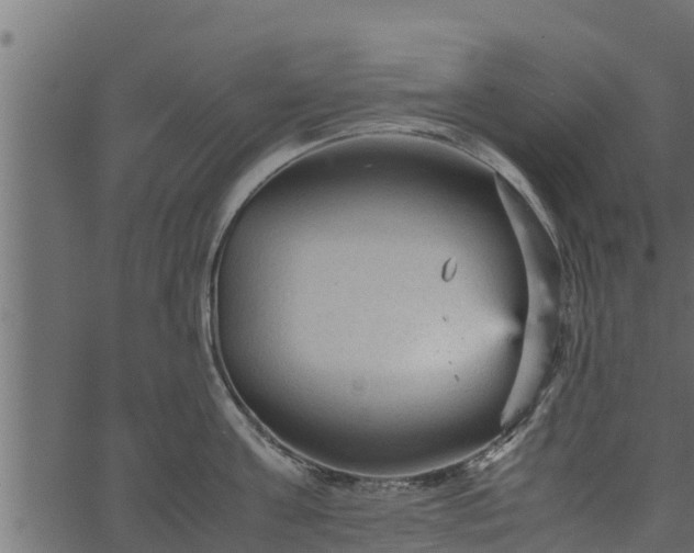 X0000066940811200603311415