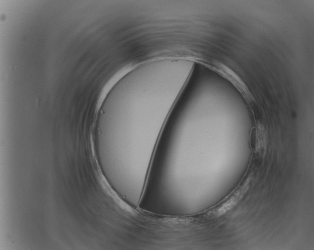 X0000066940812200603311415