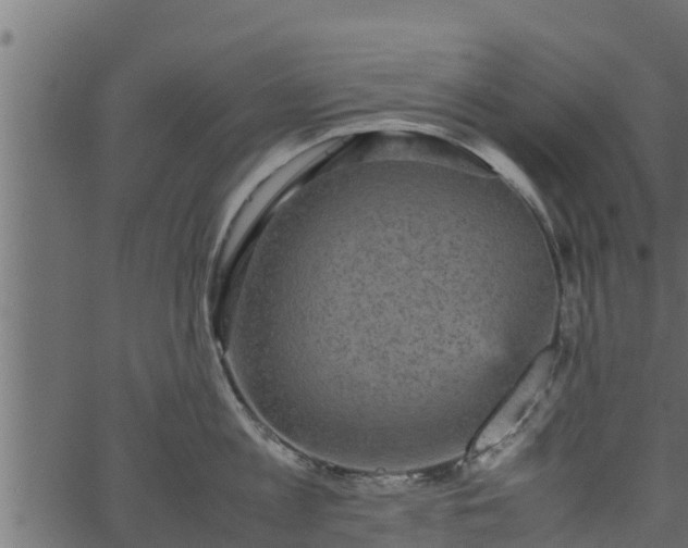 X0000066940813200603311415