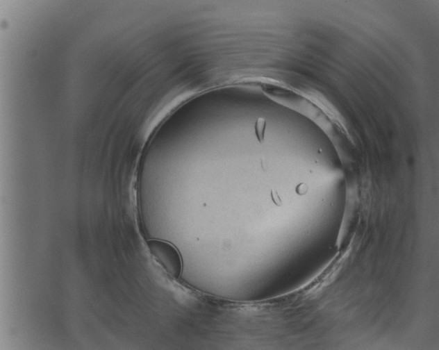 X0000066940814200603311415