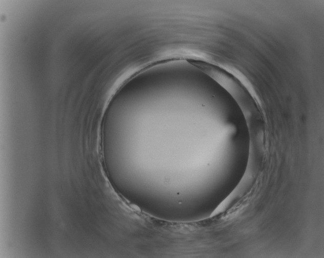 X0000066940815200603311415