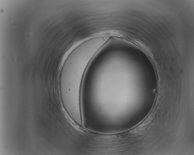 X0000066940816200603311415