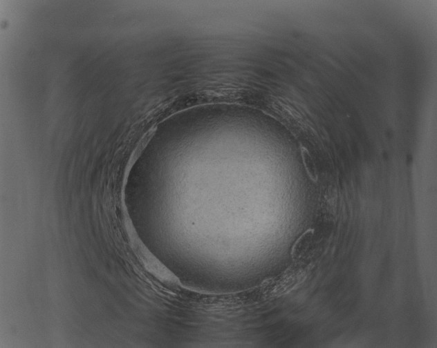 X0000066940817200603311415