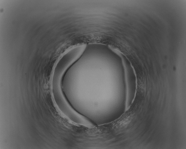 X0000066940818200603311415