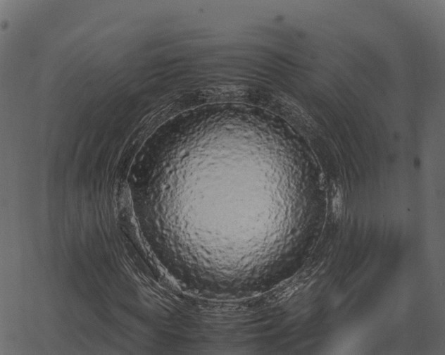 X0000066940819200603311415