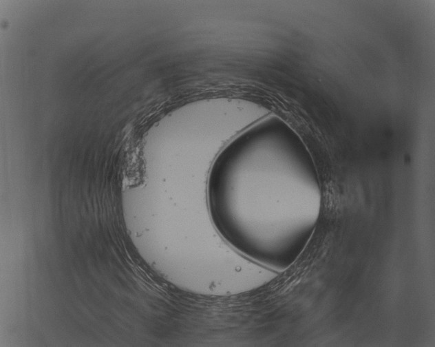 X0000066940820200603311415