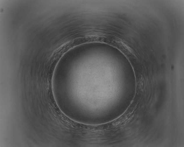 X0000066940821200603311415