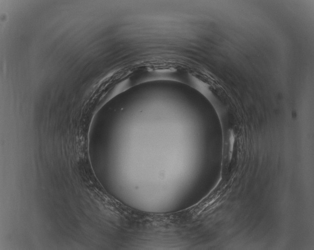 X0000066940822200603311415