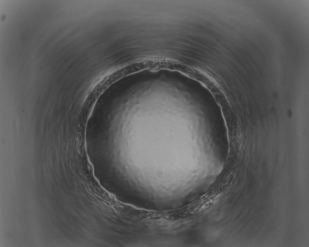 X0000066940823200603311415