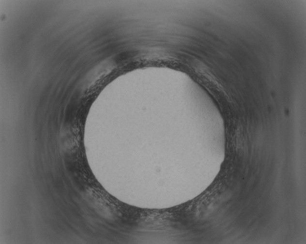 X0000066940824200603311415