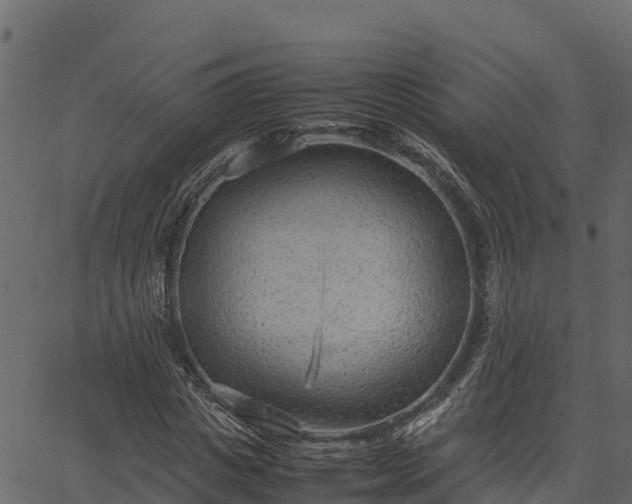 X0000066940825200603311415