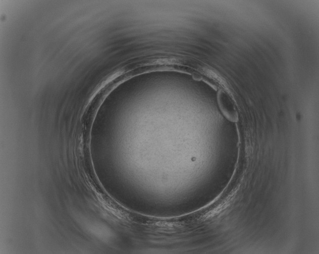 X0000066940827200603311415