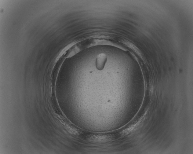 X0000066940829200603311415