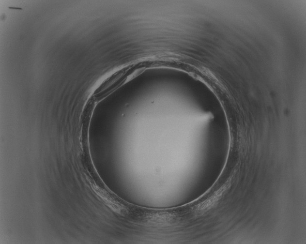 X0000066940830200603311415