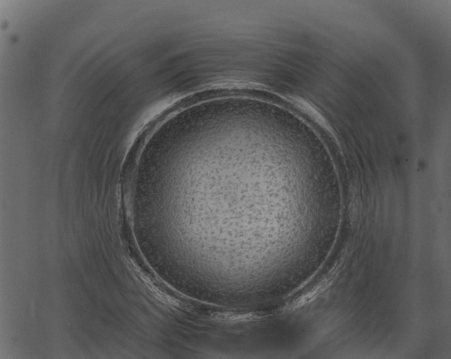 X0000066940831200603311415