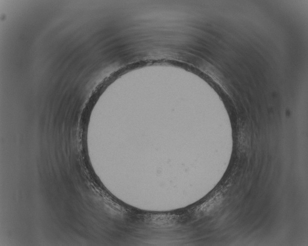 X0000066940832200603311415