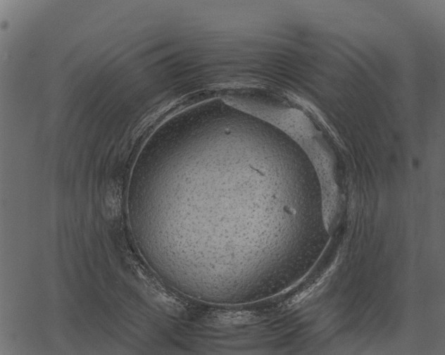 X0000066940833200603311415