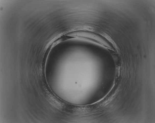 X0000066940834200603311415