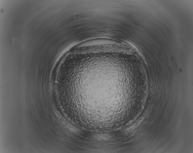 X0000066940835200603311415