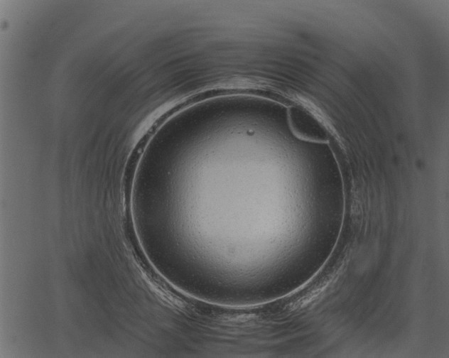 X0000066940837200603311415