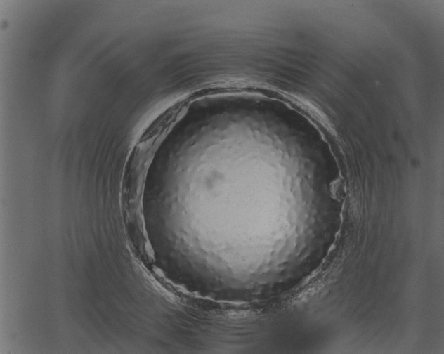 X0000066940839200603311415