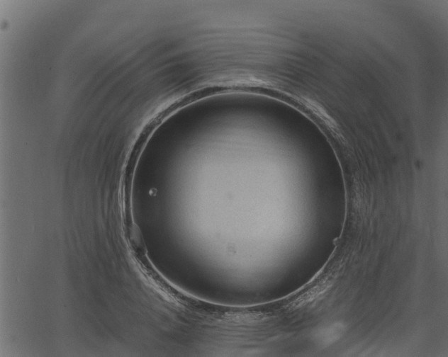 X0000066940840200603311415