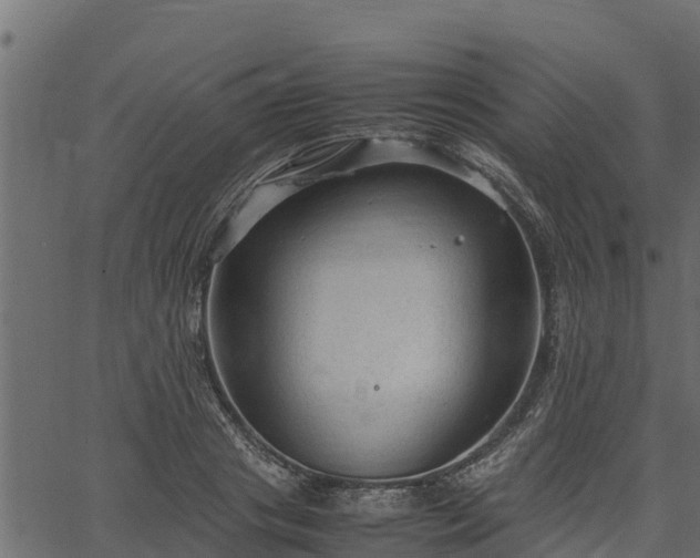 X0000066940841200603311415