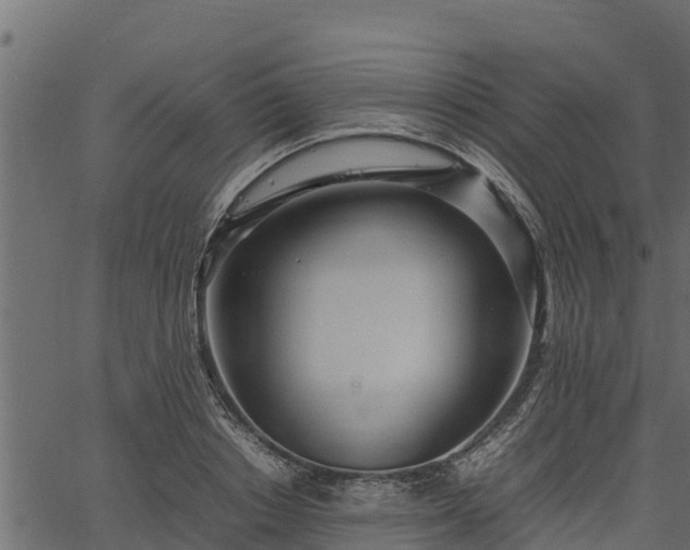 X0000066940842200603311415