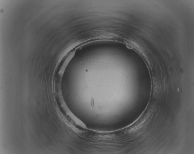 X0000066940843200603311415