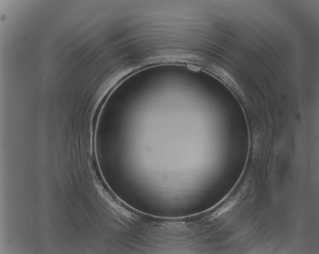 X0000066940844200603311415