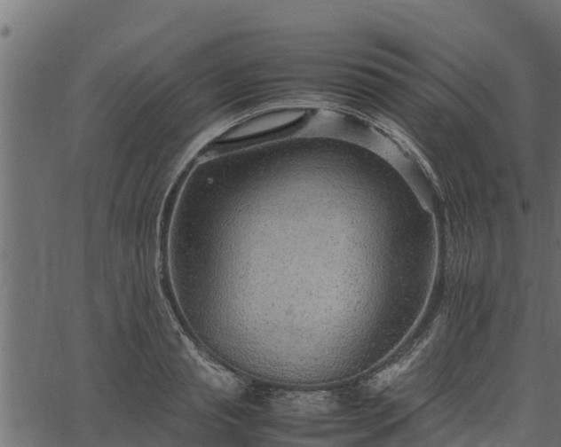 X0000066940845200603311415