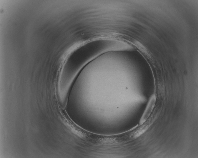 X0000066940846200603311415