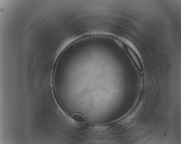 X0000066940847200603311415