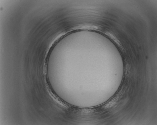 X0000066940848200603311415