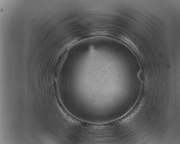 X0000066940849200603311415