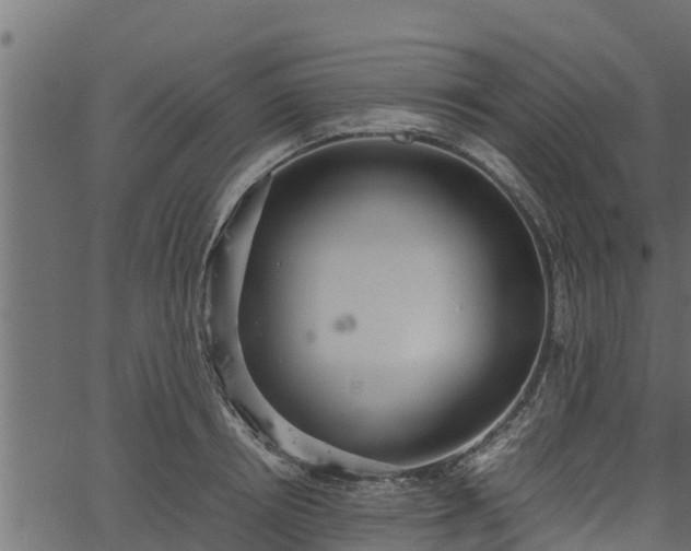 X0000066940850200603311415