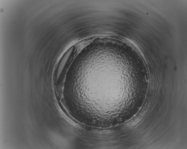 X0000066940851200603311415