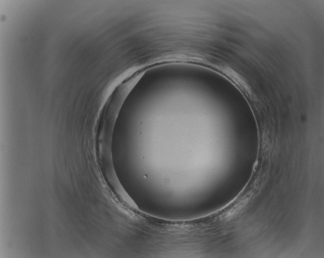 X0000066940854200603311415