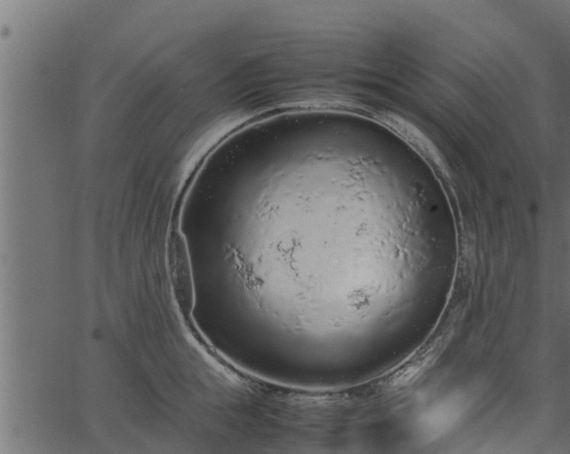 X0000066940855200603311415