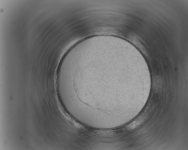 X0000066940856200603311415